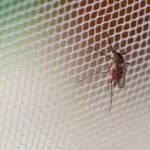 Mik a leggyakoribb problémák a szúnyoghálós redőny használatakor?